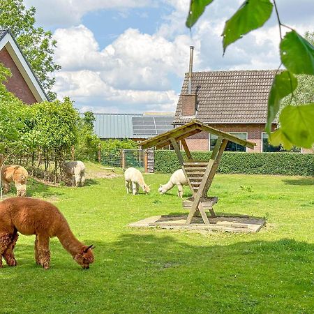 Alpacafarm Vorstenbosch Экстерьер фото
