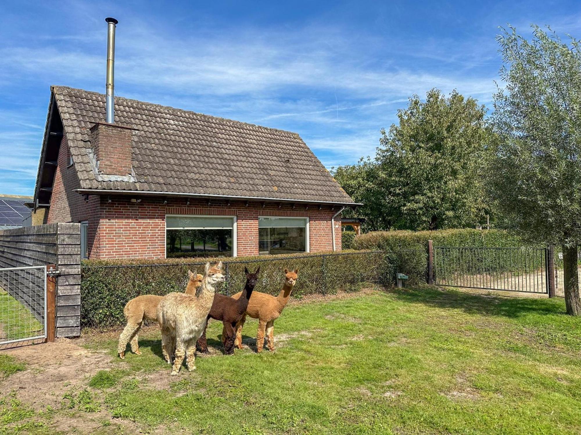 Alpacafarm Vorstenbosch Экстерьер фото