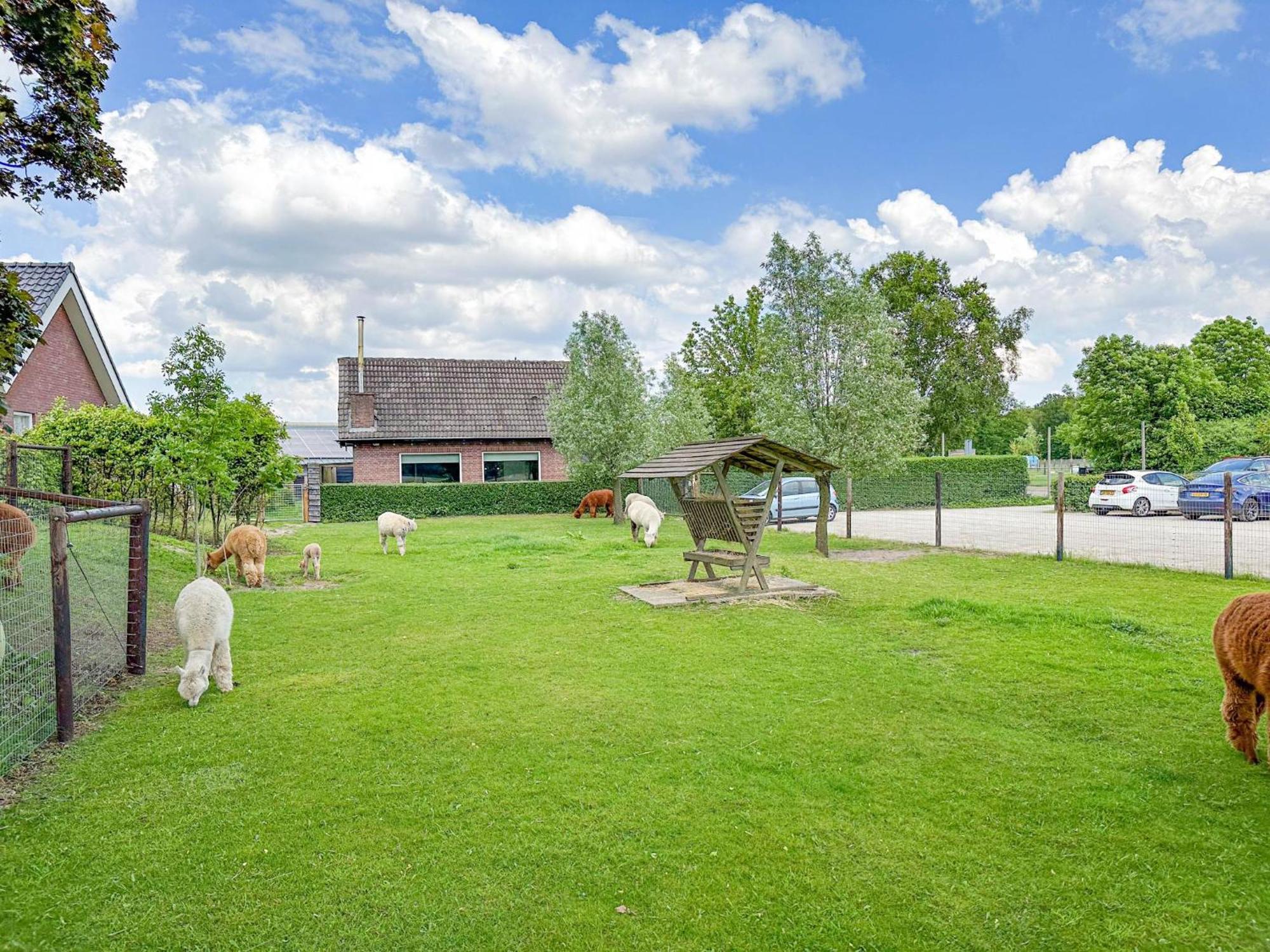 Alpacafarm Vorstenbosch Экстерьер фото